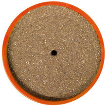 BERGIN® PickAktiv OLB Soft