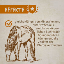 montanus® nature Leckmasse