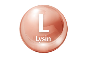 Lysin