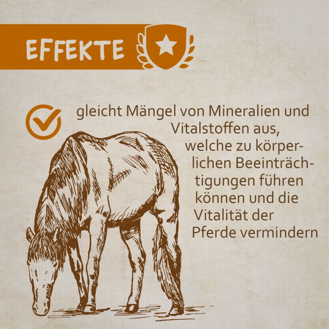 montanus® nature Leckmasse 