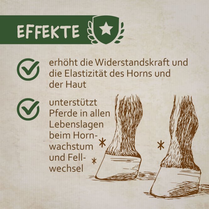 montanus® nature Biotin-Konzentrat 