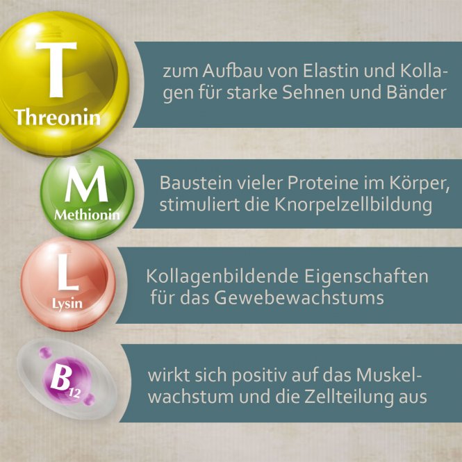 montanus® nature Amino-Forte 