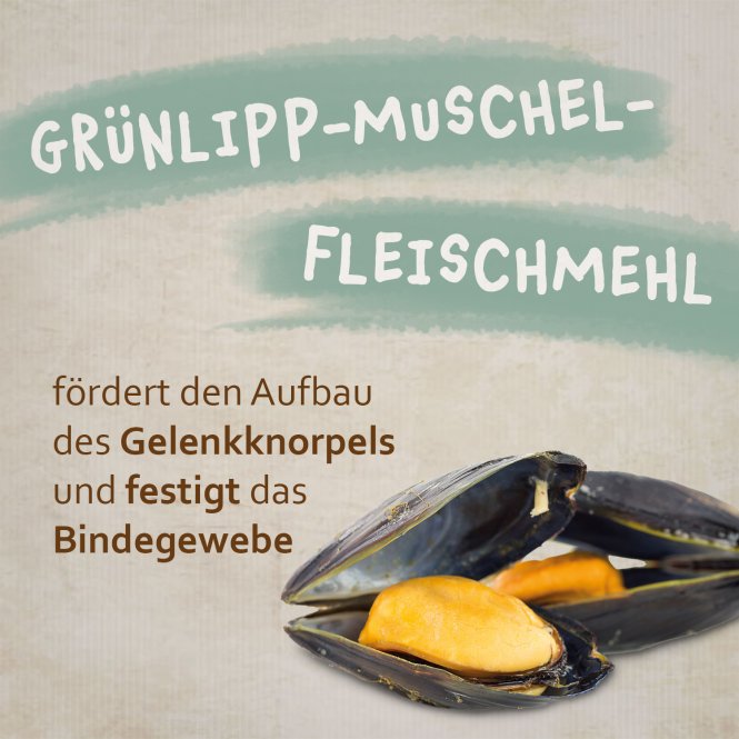 montanus® nature Joint-Mobility 