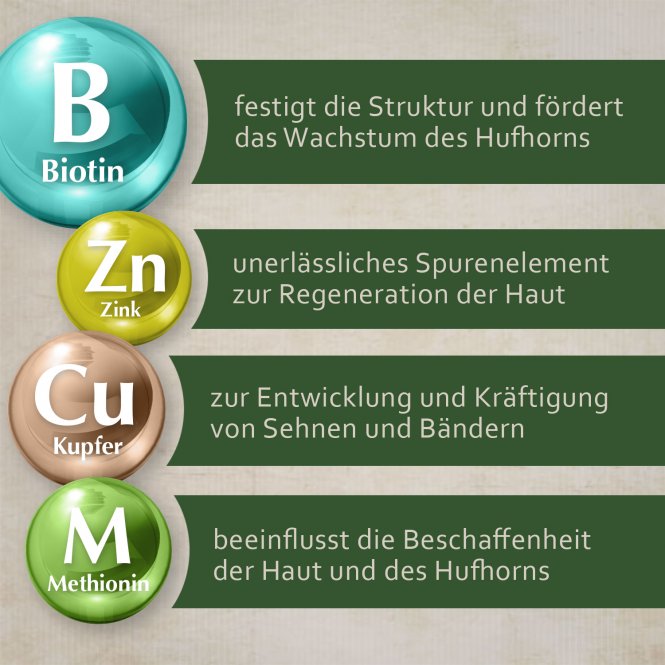 montanus® nature Biotin-Konzentrat 