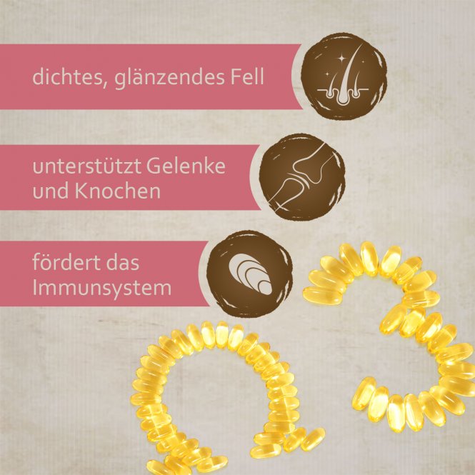 montanus® nature Lachsöl 