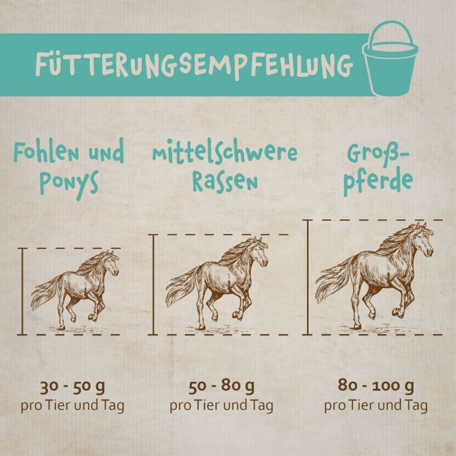 montanus® nature Bronchi-Protect 