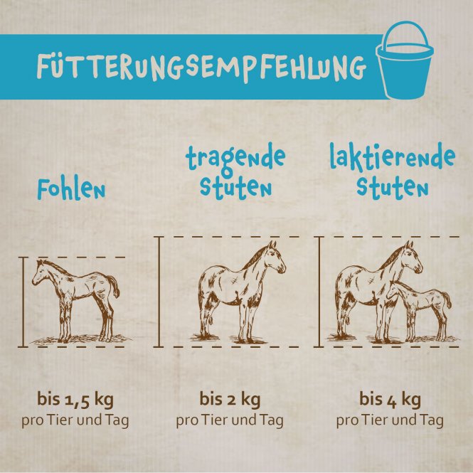 montanus® nature Fohlenkraft 